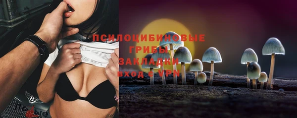 ECSTASY Алзамай