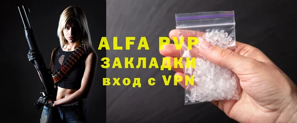 крисы Алексин