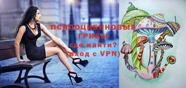 крисы Алексин