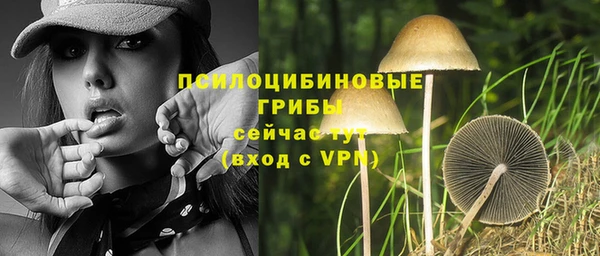 a pvp Алексеевка