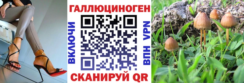 Псилоцибиновые грибы прущие грибы  дарнет шоп  Уссурийск 